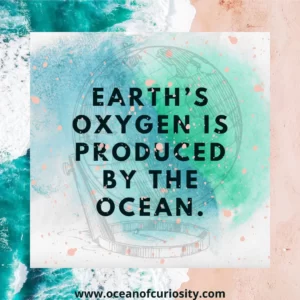 Read more about the article Amazing Earth