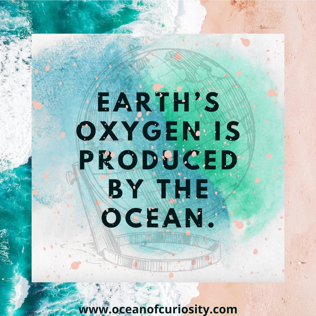 Read more about the article Amazing Earth