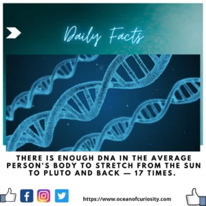 Read more about the article DNA