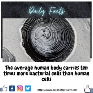 Read more about the article Human Body